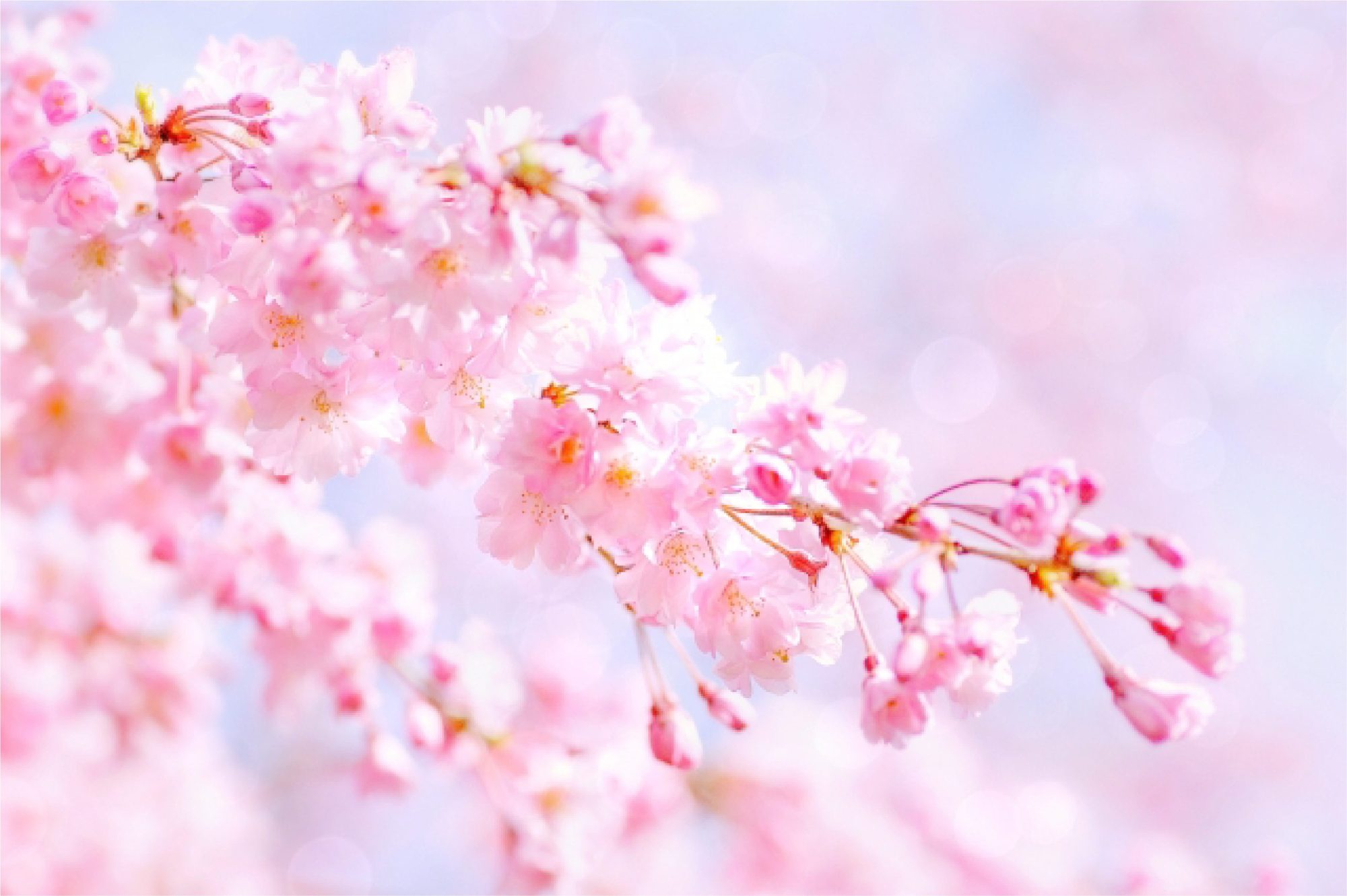 金沢医科大学AO・合格に必要な対策